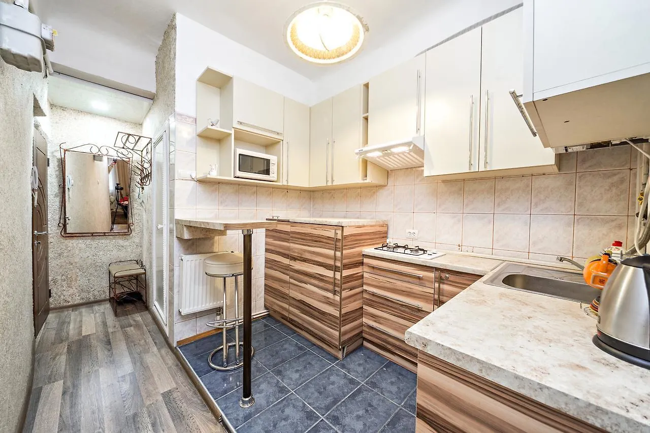 Apartment In A City Center! Krakivska,34 Lviv Oekraïne